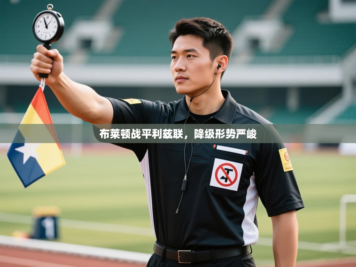 布莱顿战平利兹联，降级形势严峻  第1张