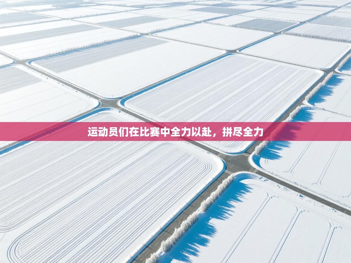 运动员们在比赛中全力以赴，拼尽全力  第1张